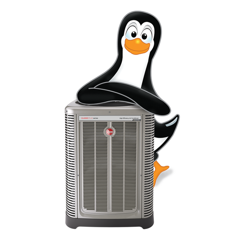 (520) 3928008 COVID19 Response